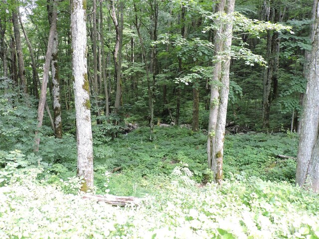 103 Chucks Ln, Bakersville, NC 28705 - photo 42