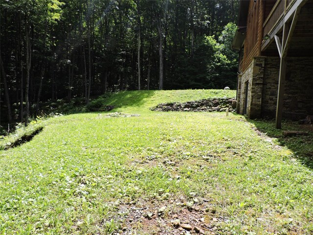 103 Chucks Ln, Bakersville, NC 28705 - photo 44