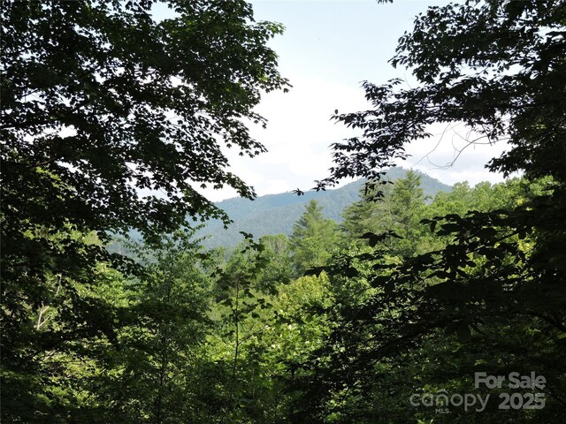 103 Chucks Ln, Bakersville, NC 28705 - photo 45