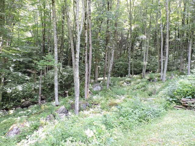 103 Chucks Ln, Bakersville, NC 28705 - photo 48