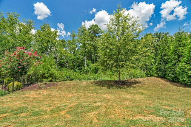 2009 Burton Point Ct, Waxhaw, NC 28173 - photo 47