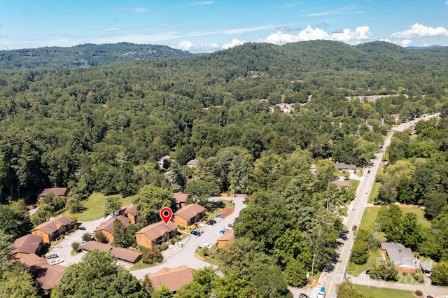 1751 Haywood Manor Rd Unit B, Hendersonville, NC 28791 - photo 36