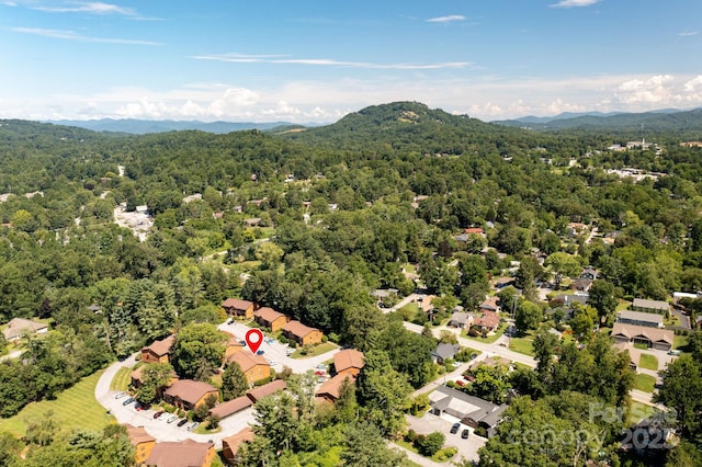 1751 Haywood Manor Rd Unit B, Hendersonville, NC 28791 - photo 37