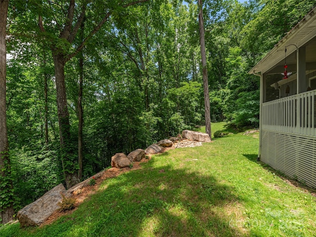 167 Treetop Ln, Waynesville, NC 28785 - photo 22