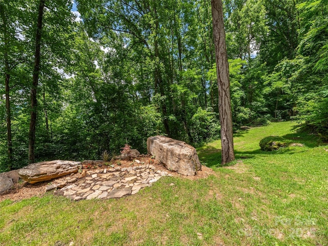 167 Treetop Ln, Waynesville, NC 28785 - photo 23