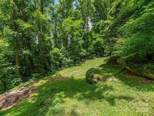 167 Treetop Ln, Waynesville, NC 28785 - photo 24