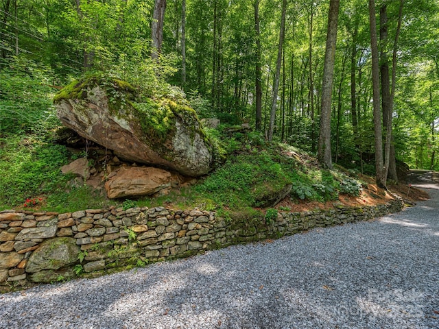 167 Treetop Ln, Waynesville, NC 28785 - photo 25