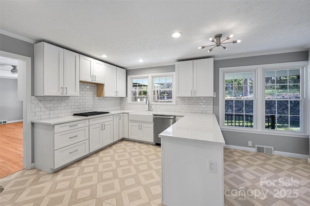14 Amherst Rd, Asheville, NC 28803 - photo 13