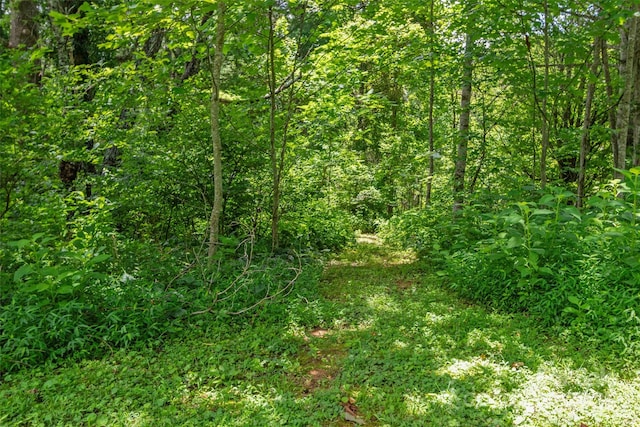 255 Fuller Huskins Rd, Bakersville, NC 28705 - photo 35