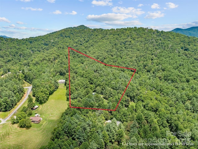 255 Fuller Huskins Rd, Bakersville, NC 28705 - photo 39