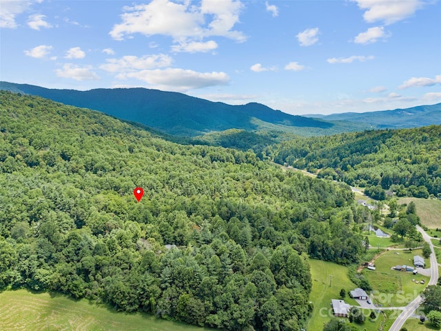 255 Fuller Huskins Rd, Bakersville, NC 28705 - photo 40
