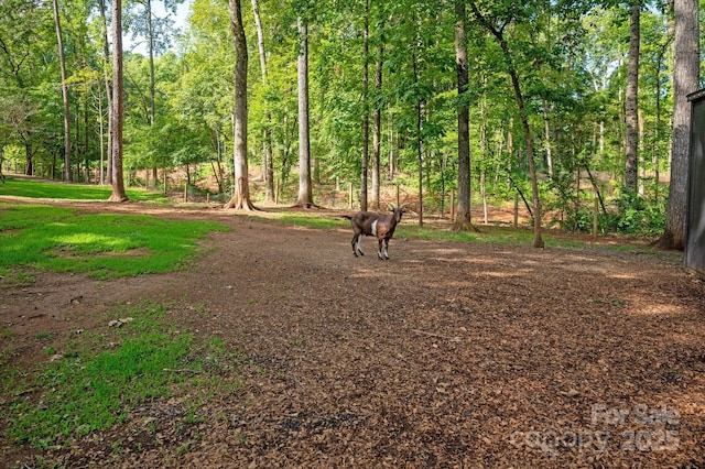 9806 Joe Kerr Rd, Waxhaw, NC 28173 - photo 45