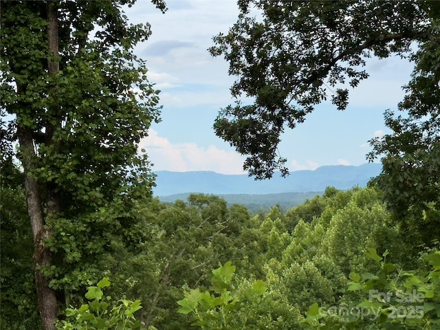 V/L Black Lark Dr Unit 178, Marion, NC 28752 - photo 1