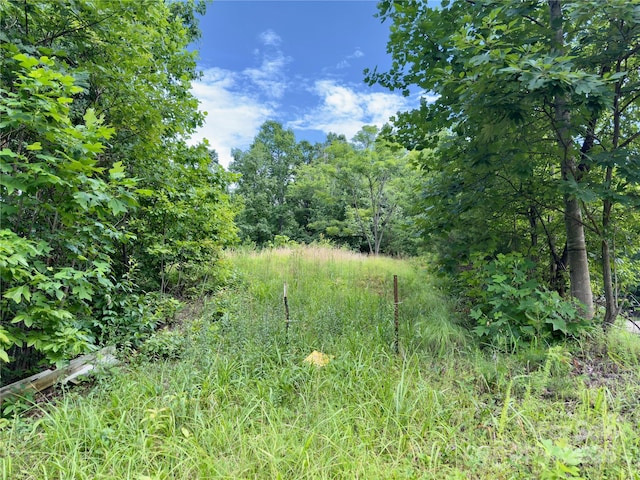 V/L Black Lark Dr Unit 178, Marion, NC 28752 - photo 2