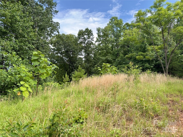 V/L Black Lark Dr Unit 178, Marion, NC 28752 - photo 5
