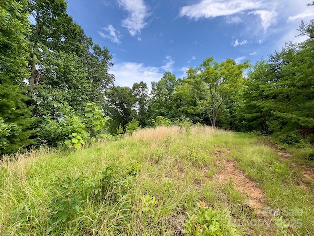 V/L Black Lark Dr Unit 178, Marion, NC 28752 - photo 6