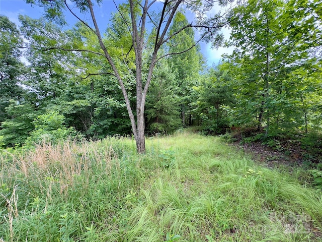 V/L Black Lark Dr Unit 178, Marion, NC 28752 - photo 8