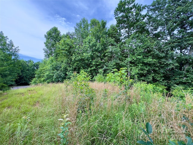 V/L Black Lark Dr Unit 178, Marion, NC 28752 - photo 11