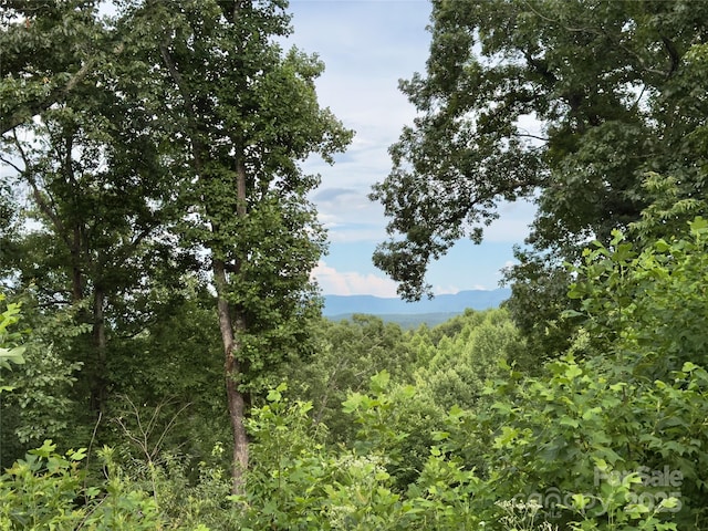 V/L Black Lark Dr Unit 178, Marion, NC 28752 - photo 12