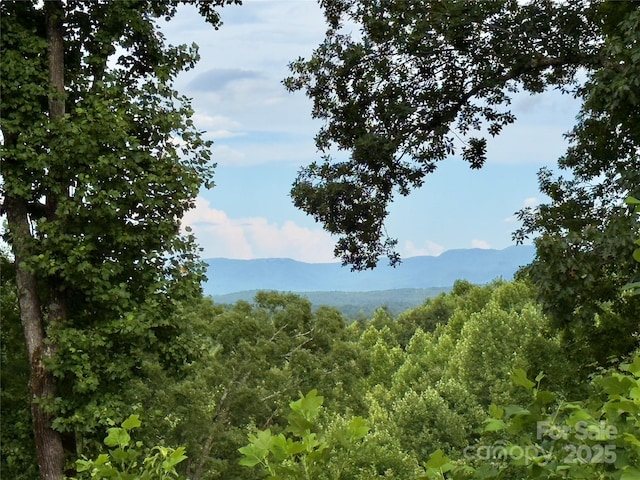 V/L Black Lark Dr Unit 178, Marion, NC 28752 - photo 14