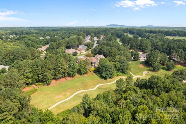 1702 Verdict Ridge Dr, Denver, NC 28037 - photo 41
