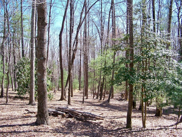 125 Thunder Mountain Rd, Hendersonville, NC 28792 - photo 2