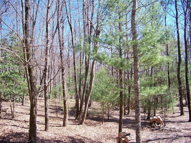 125 Thunder Mountain Rd, Hendersonville, NC 28792 - photo 3