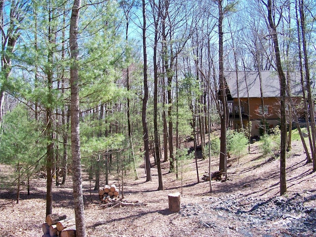 125 Thunder Mountain Rd, Hendersonville, NC 28792 - photo 4