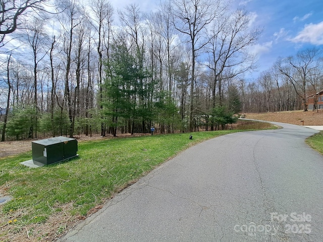 125 Thunder Mountain Rd, Hendersonville, NC 28792 - photo 5