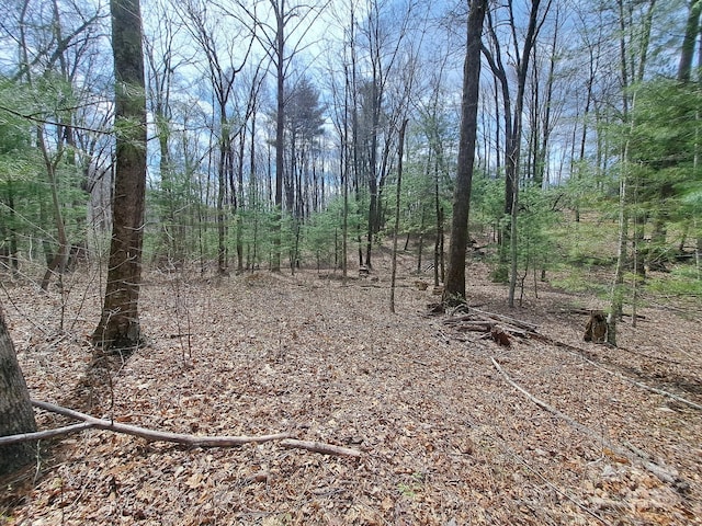 125 Thunder Mountain Rd, Hendersonville, NC 28792 - photo 6