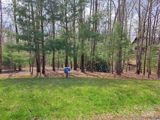 125 Thunder Mountain Rd, Hendersonville, NC 28792 - photo 7