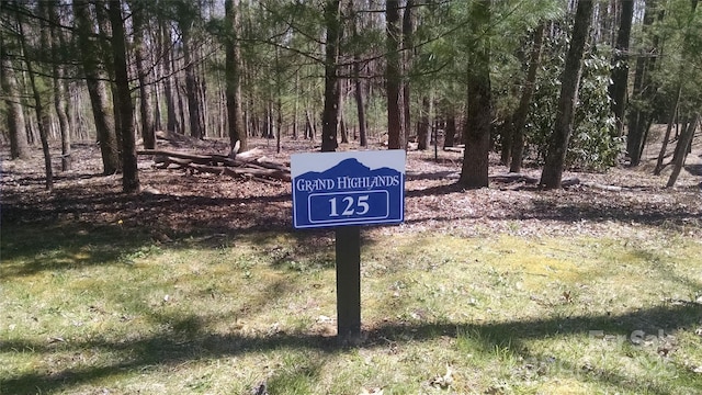 125 Thunder Mountain Rd, Hendersonville, NC 28792 - photo 8