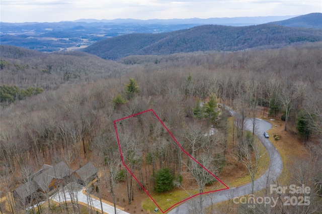 125 Thunder Mountain Rd, Hendersonville, NC 28792 - photo 9
