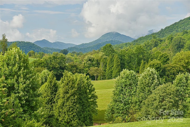 35 Dreambird Dr, Leicester, NC 28748 - photo 6