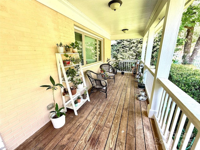 3831 Winterfield Pl, Charlotte, NC 28205 - photo 38