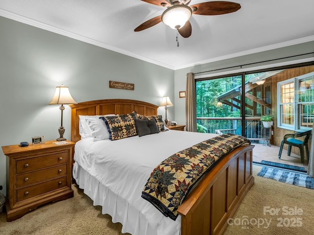 138 Ohwanteska Ln, Brevard, NC 28712 - photo 21