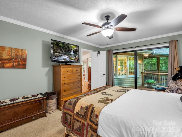 138 Ohwanteska Ln, Brevard, NC 28712 - photo 25