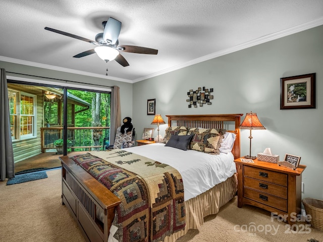 138 Ohwanteska Ln, Brevard, NC 28712 - photo 26