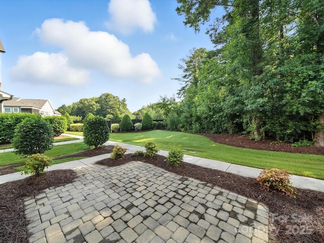 10026 Wayfair Meadow Ct, Charlotte, NC 28277 - photo 39
