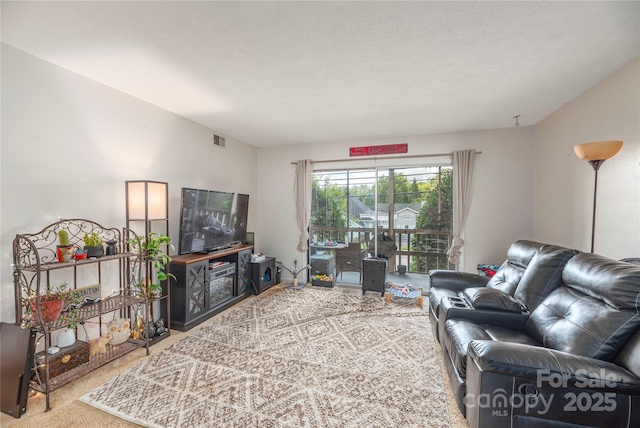 427 6th Ave W Unit B-12, Hendersonville, NC 28739 - photo 5