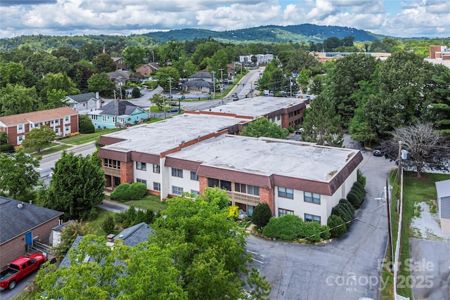427 6th Ave W Unit B-12, Hendersonville, NC 28739 - photo 15