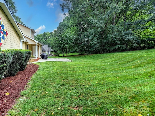 231 Castle Creek Rd, Statesville, NC 28625 - photo 39