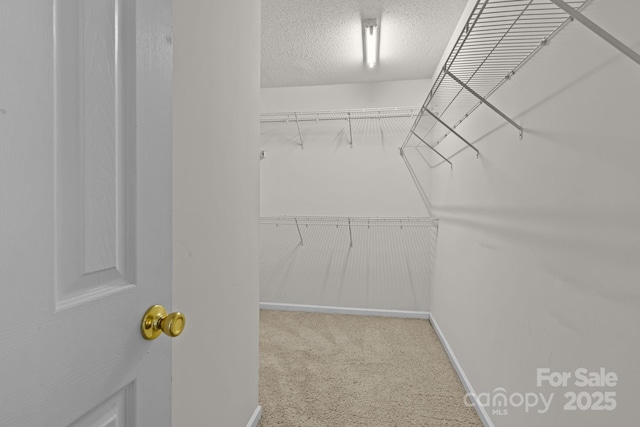 2723 Rozzelles Landing Dr, Charlotte, NC 28214 - photo 23