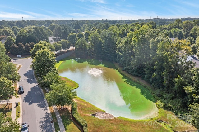 2723 Rozzelles Landing Dr, Charlotte, NC 28214 - photo 42