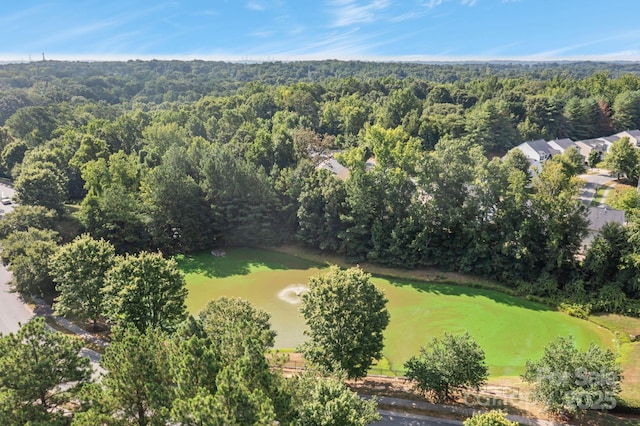 2723 Rozzelles Landing Dr, Charlotte, NC 28214 - photo 44