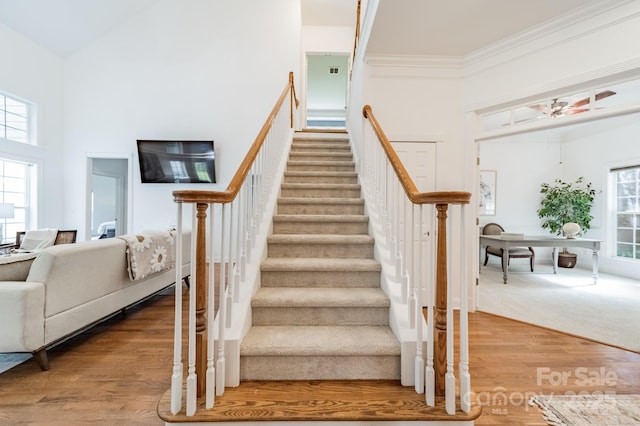 3103 Stanway Ct, Waxhaw, NC 28173 - photo 26