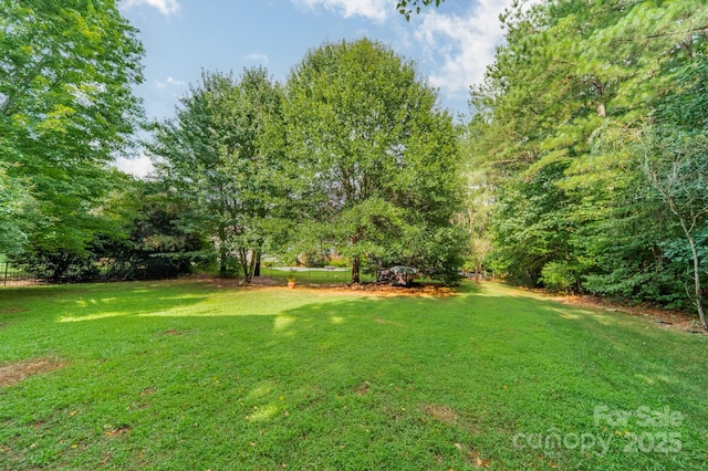 3103 Stanway Ct, Waxhaw, NC 28173 - photo 41
