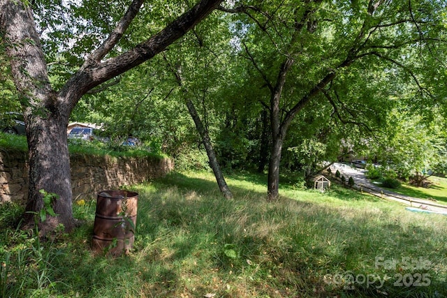 401 Ray St, Waynesville, NC 28786 - photo 8