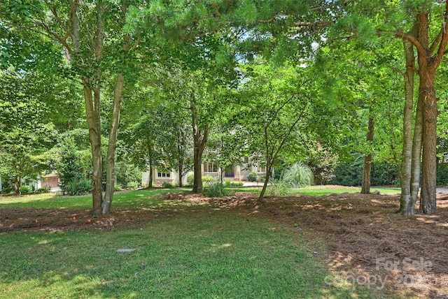 139 E Callicutt Trl, Mooresville, NC 28117 - photo 3