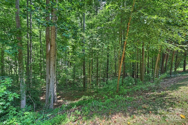 139 E Callicutt Trl, Mooresville, NC 28117 - photo 38